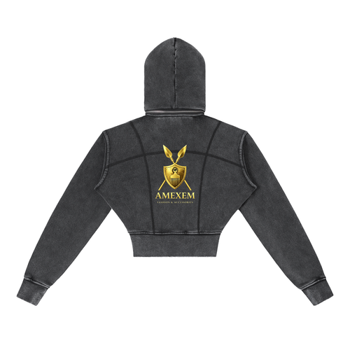 Amexem Logo Vintage Washed Cropped Fleece Hoodie